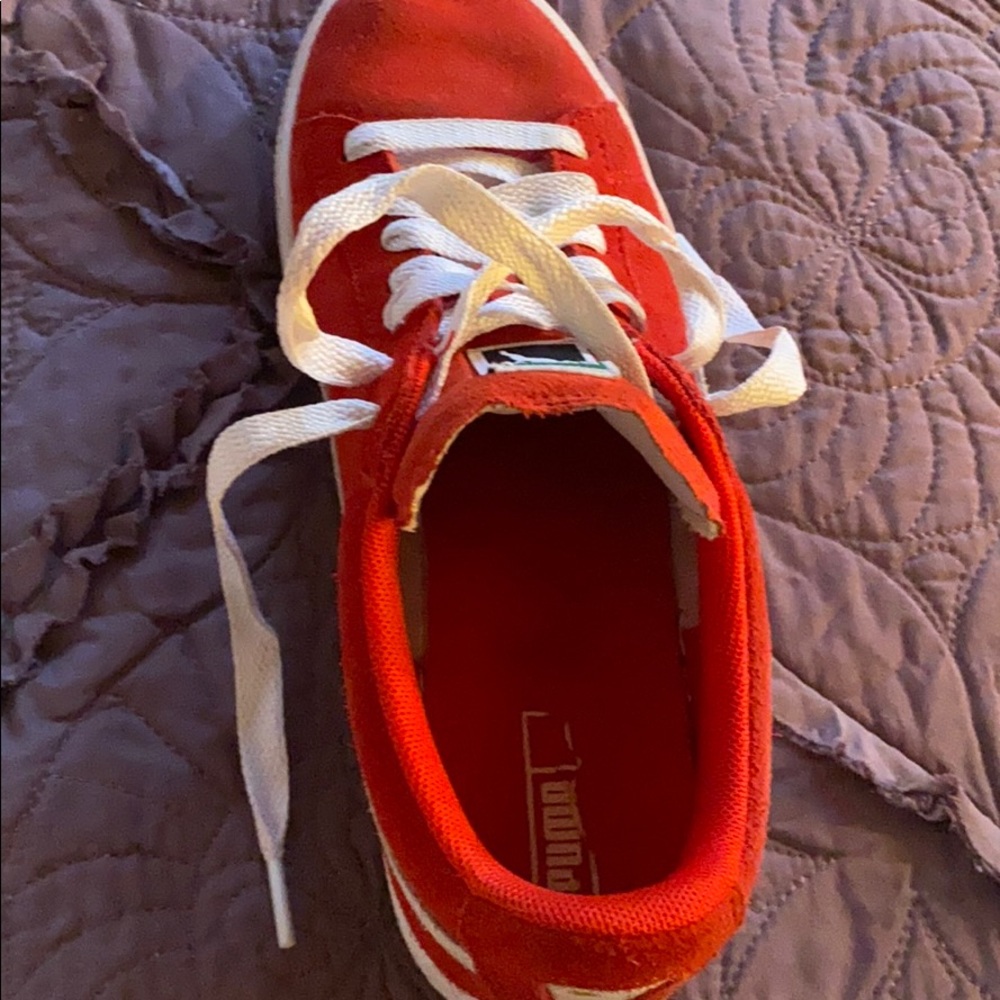 Red pumas - Picture 2 of 7